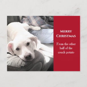 Cartão Postal De Festividades Foto de Cachorro Branco Bonito com Pai de Natal Ve
