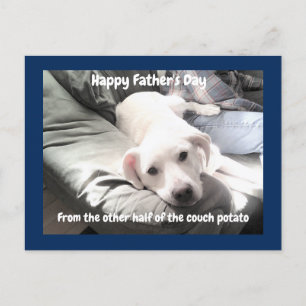 Cartão Postal De Festividades Foto de Cachorro Branco Cachorro Cansado Cachorro 