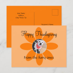 Cartão Postal De Festividades Foto de Cachorro Engraçado na Flor Laranja Simples