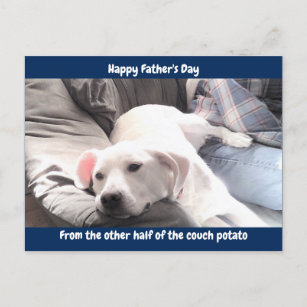 Cartão Postal De Festividades Foto de Cachorro Preguiçoso Branco Bonito com Melh