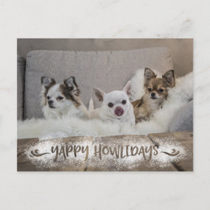 Cartão Postal De Festividades Foto de Cão Engraçado Snowy YAPPY HOWLIDAYS