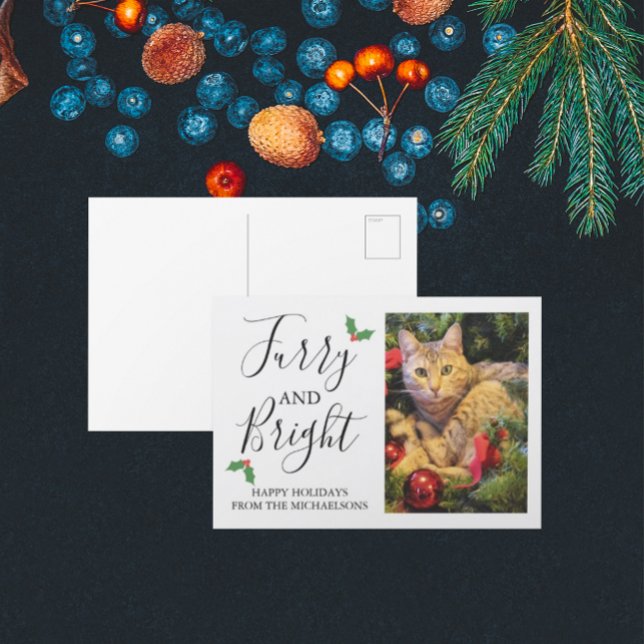 Cartão Postal De Festividades Foto de Furry e Bright Pet Natal (Criador carregado)