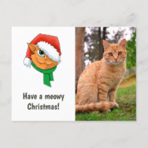 Foto de Gato de Natal