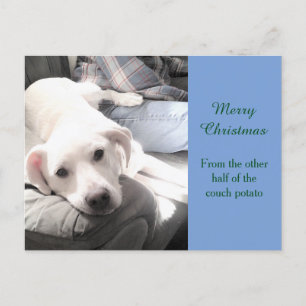 Cartão Postal De Festividades Foto de Labrador Preguiçoso e Bonito Mistura e Pa