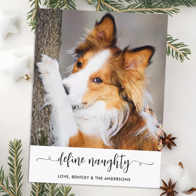 Cartão Postal De Festividades Foto de Pet Engraçado Personalizada e Imaginosa Mo (Criador carregado)
