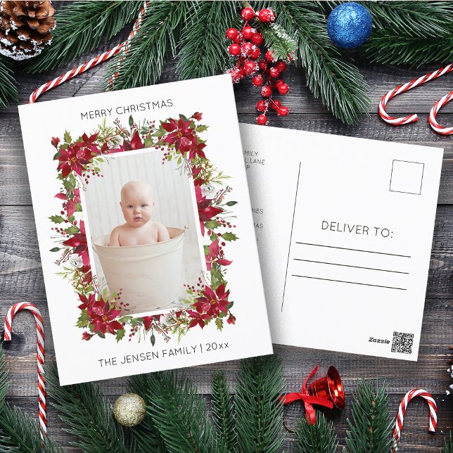 Cartão Postal De Festividades Foto de Poinsettias Vermelhas de Natal Moderno (Poinsettia and pine branches Christmas photo postcard)