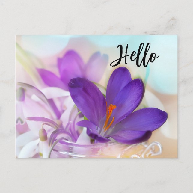 Cartão Postal De Festividades Foto de um Bonito Primavera púrpura Crocus Hello (Frente)