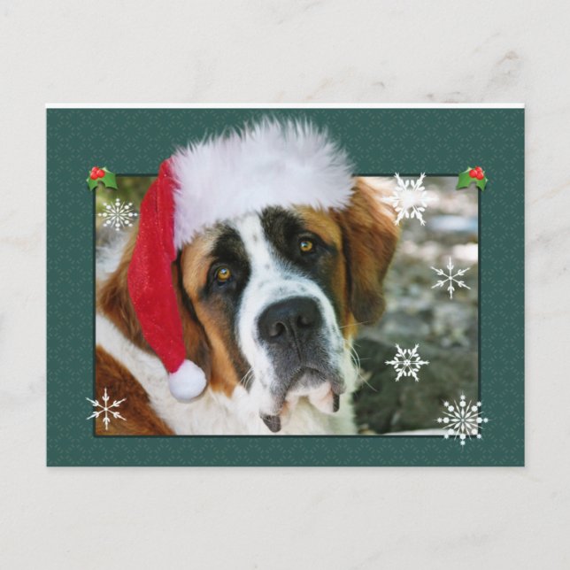 Cartão Postal De Festividades Foto do cão de St Bernard do Natal (Frente)