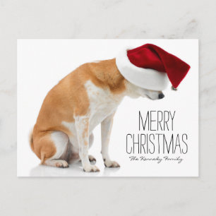 Cartão Postal De Festividades Foto do estúdio do cão Shiba Inu vestindo o chapéu
