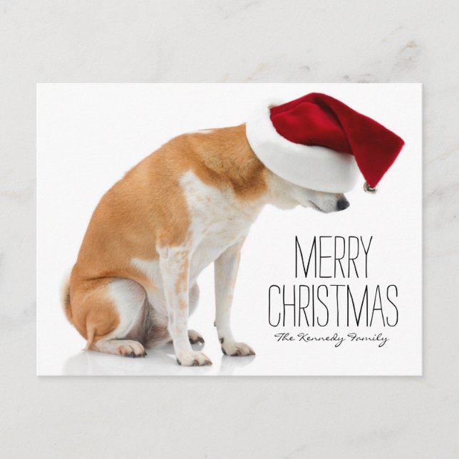 Cartão Postal De Festividades Foto do estúdio do cão Shiba Inu vestindo o chapéu (Frente)