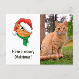 Cartão Postal De Festividades Foto do Gato de Natal