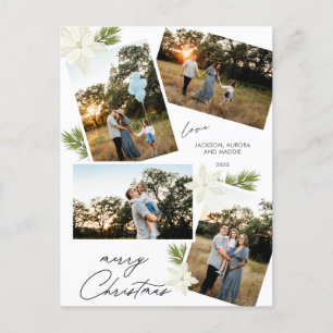 Cartão Postal De Festividades Foto do Natal Moderno 4 Poinsettia