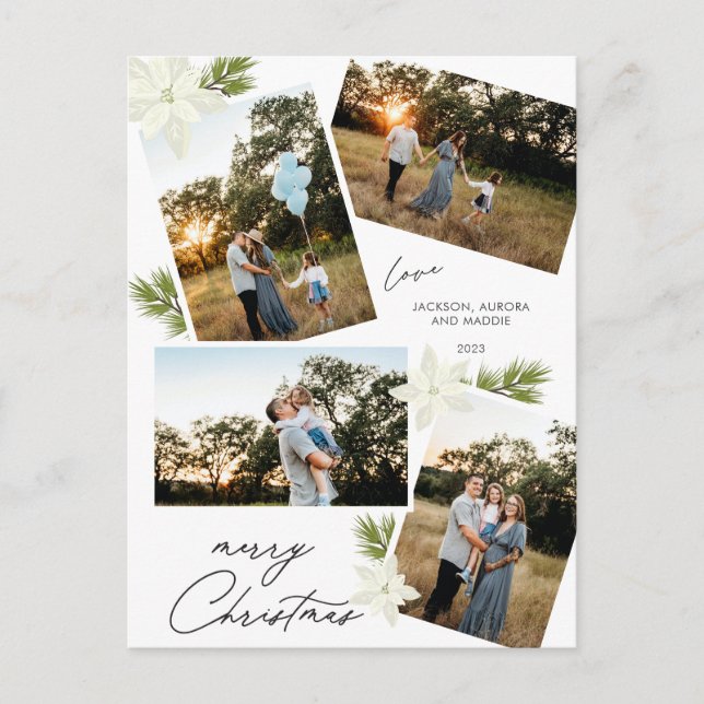 Cartão Postal De Festividades Foto do Natal Moderno 4 Poinsettia (Frente)