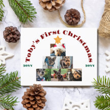 Foto do Primeiro Natal do Cachorro na Árvore, Pet 