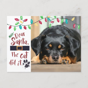 Cartão Postal De Festividades Foto engraçada da letra   do papai noel do cão