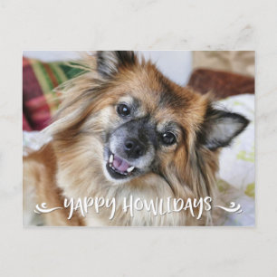 Cartão Postal De Festividades Foto engraçada YAPPY do cão de HOWLIDAYS  
