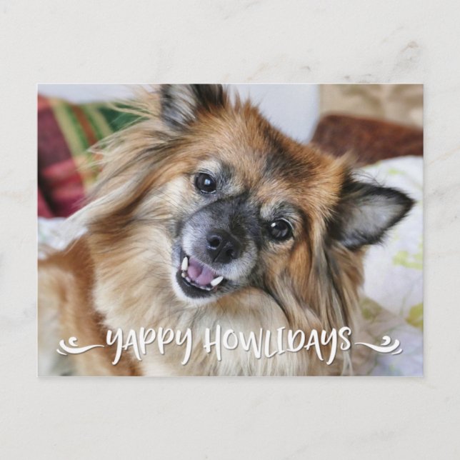 Cartão Postal De Festividades Foto engraçada YAPPY do cão de HOWLIDAYS | (Frente)