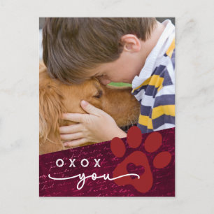 Cartão Postal De Festividades Foto Personalizada de Pet Filho do Namorados de sa