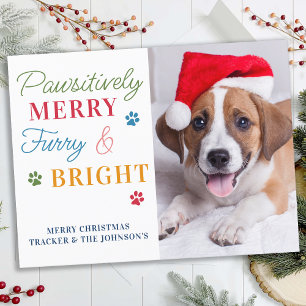 Cartão Postal De Festividades Foto personalizada de Pet forry de Feliz pawsitiva