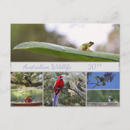 Cartão Postal De Festividades Fotografia da vida selvagem australiana