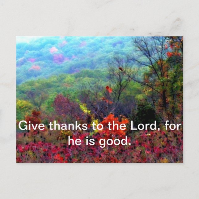 Cartão Postal De Festividades Fotografia de Ação de Graças (Frente)