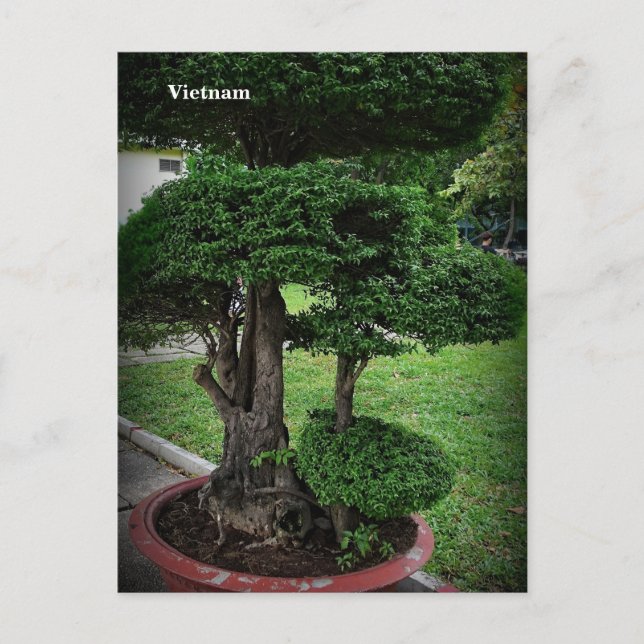 Cartão Postal De Festividades Fotografia na rua Vietnã (Frente)