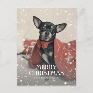 Cartão Postal De Festividades Fotografias personalizadas - Estrelas de Neve Nata