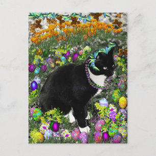 Cartão Postal De Festividades Freckles in the Hunt for Easter Eggs