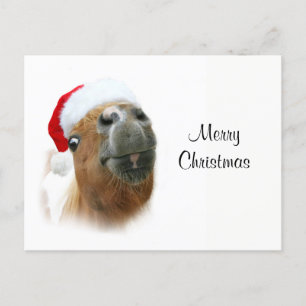 Cartão Postal De Festividades Funny Christmas horse