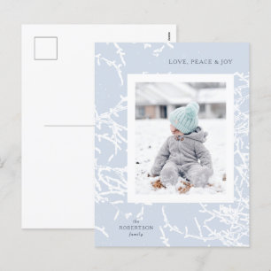 Cartão Postal De Festividades Galeria de Fotos de Férias de Ramos Nevados Azuis 