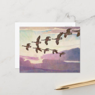 Cartão Postal De Festividades Gansos do Canadá em Primavera por Newell Convers W