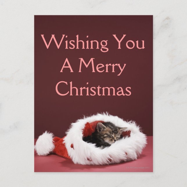 Cartão Postal De Festividades Gatinho adormecido no chapéu do Natal (Frente)