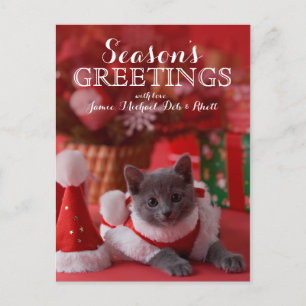 Cartão Postal De Festividades Gatinho azul e Natal do russo