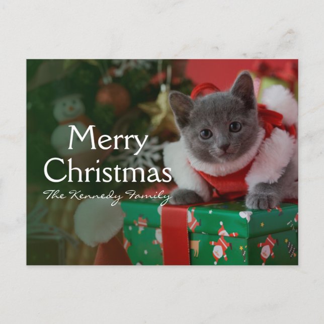 Cartão Postal De Festividades Gatinho azul e Natal do russo (Frente)