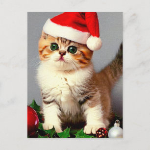 Cartão Postal De Festividades Gatinho de Natal Antigo com Chapéu de Papai Noel