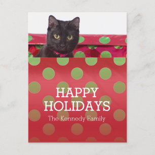 Cartão Postal De Festividades Gatinho na caixa de presente