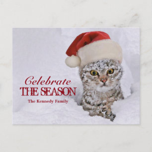 Cartão Postal De Festividades Gatinho na neve com chapéu de Santa