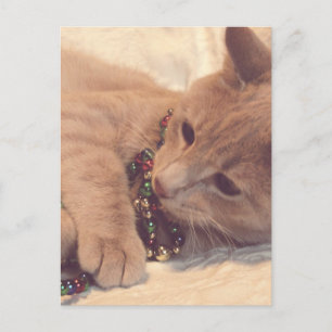 Cartão Postal De Festividades Gatinho natais vintages