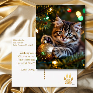 Cartão Postal De Festividades Gatinho no Natal Personalizado