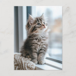 Cartão Postal De Festividades Gatinho perto da janela