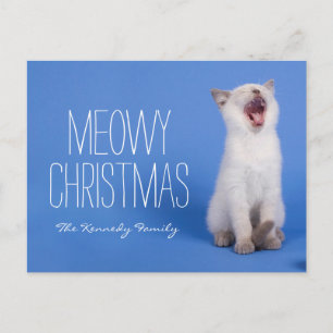 Cartão Postal De Festividades Gatinho que boceja