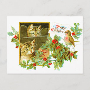 Cartão Postal De Festividades Gatinhos adoráveis e Robin Natais vintages