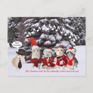 Cartão Postal De Festividades Gatinhos Cantando Caróis de Natal