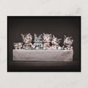 Cartão Postal De Festividades Gatinhos na Mesa do chá