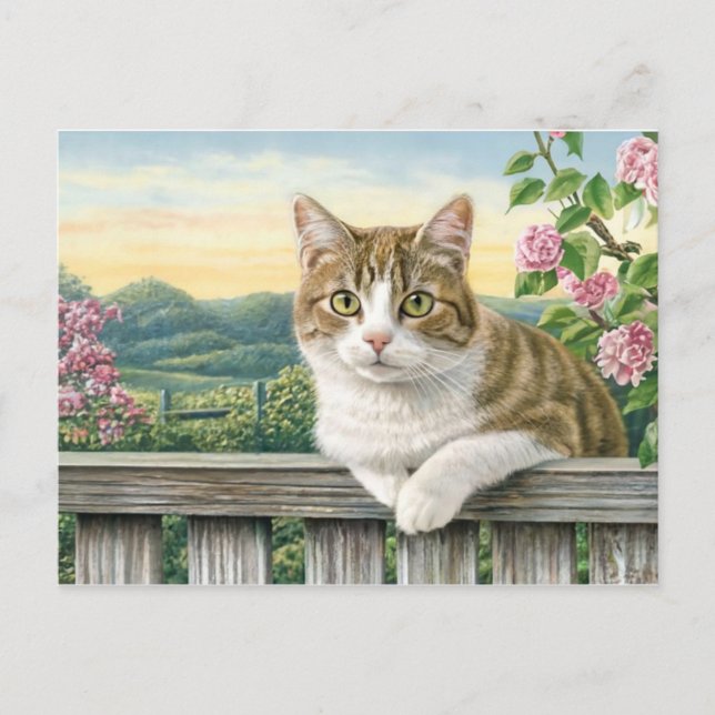 Cartão Postal De Festividades Gato Bonito Art Gatinho Gatinhos Animais Engraçado (Frente)