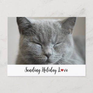 Cartão Postal De Festividades Gato Bonito Enviando Amor Feriado