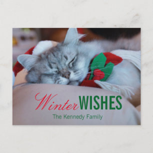 Cartão Postal De Festividades Gato com chapéu do Natal e lenço, gato do sono