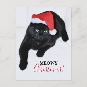 Cartão Postal De Festividades Gato com o Chapéu Vermelho de Papai Noel