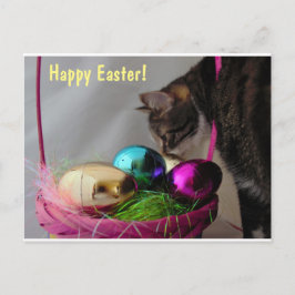 Cartão Postal De Festividades Gato com Páscoa