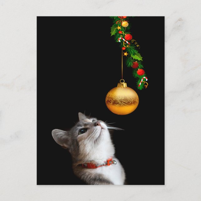 Cartão Postal De Festividades Gato de gatinho empatado Natal (Frente)